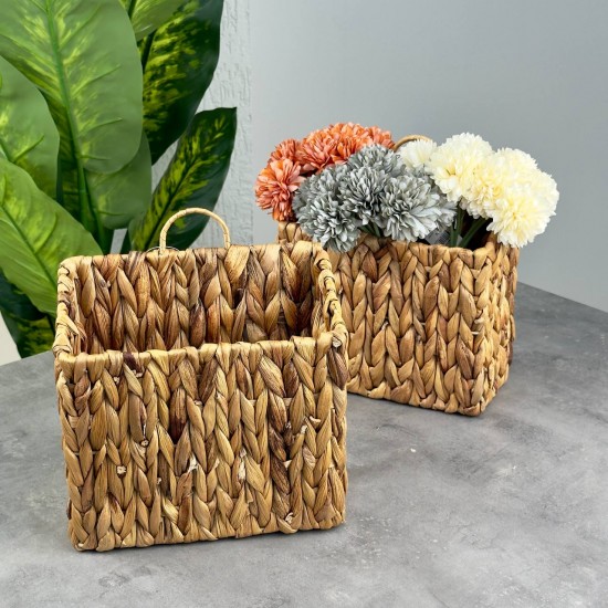 CHEFSTAR HASIR SAKSI/24 MNB07331