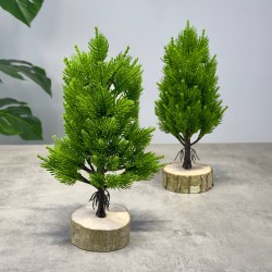 ÇILGIN 28 CM KÜTÜK ÇAM AĞACI