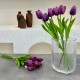 IVORY 6 LI DEKORATİF LALE KARMA RENK IVO-9015 IVORY 6 LI DEKORATİF LALE KARMA RENK IVO-9015
