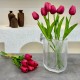 IVORY 6 LI DEKORATİF LALE KARMA RENK IVO-9015 IVORY 6 LI DEKORATİF LALE KARMA RENK IVO-9015