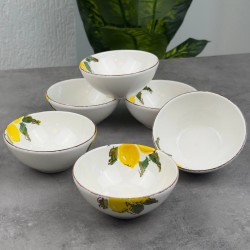 KOSOVA ÇORBA KASESİ ORGANİK(15CM)LMN-0004